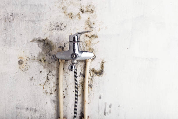 Best Mold Cleaning Services  in Seneca, KS