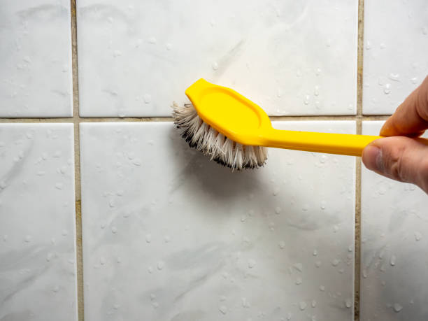  Seneca, KS Mold Removal Pros