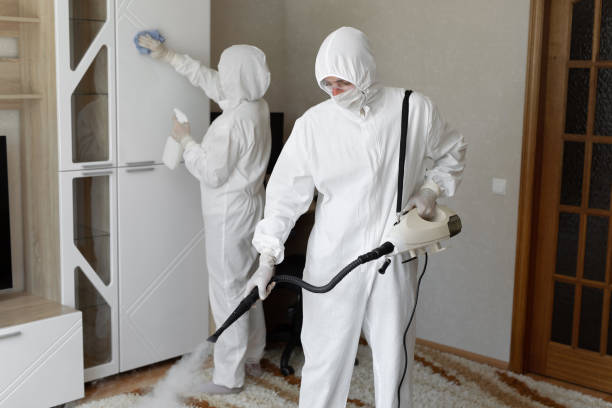 Office Mold Removal Services in Seneca, KS