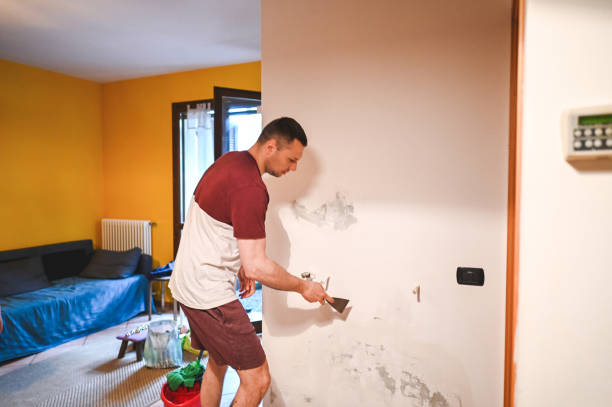Best Mold Remediation  in Seneca, KS