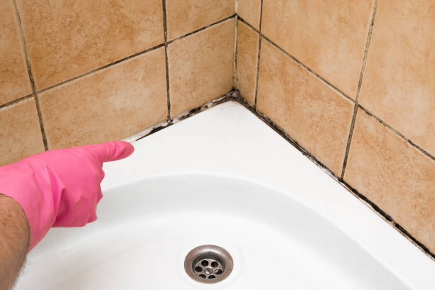 Best Toxic Mold Removal  in Seneca, KS